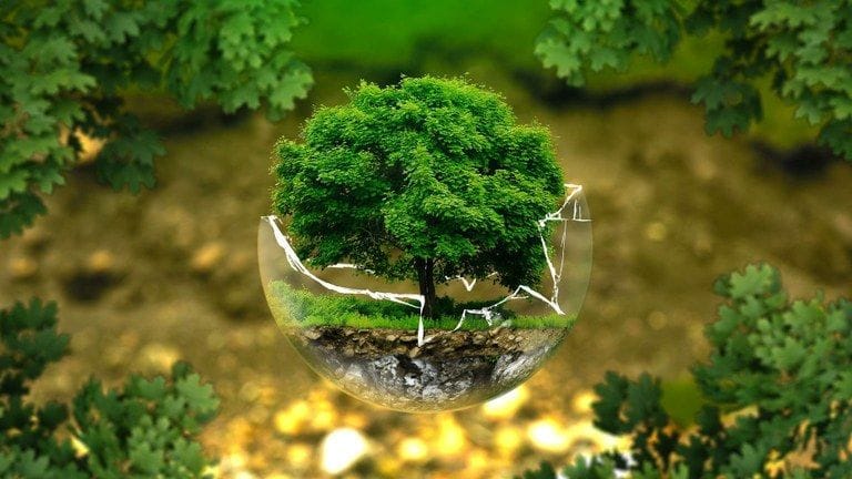 A Warming World’s Hidden Burden: Unpacking How Climate Change Accelerates Aging and Heightens Health Risks for Older Adults