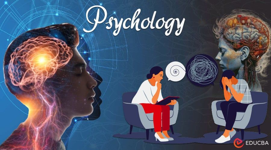 The Psychology of Fandom: Why We're Drawn to These Pairings