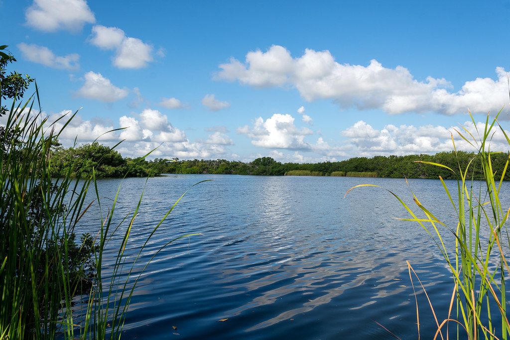 Everglades site