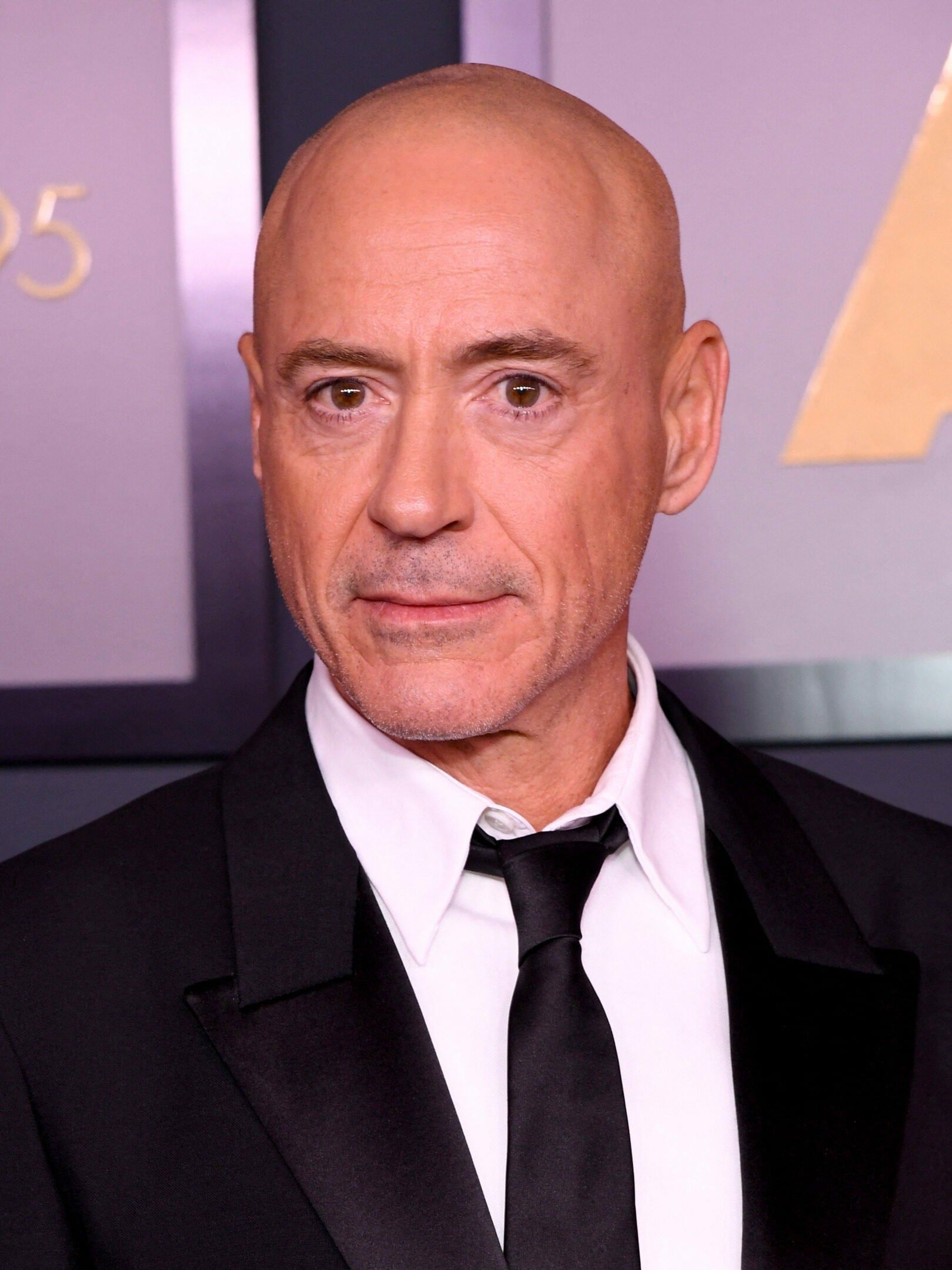Robert Downey Jr.: Tony Stark, Genius, Billionaire, Playboy, Philanthropist