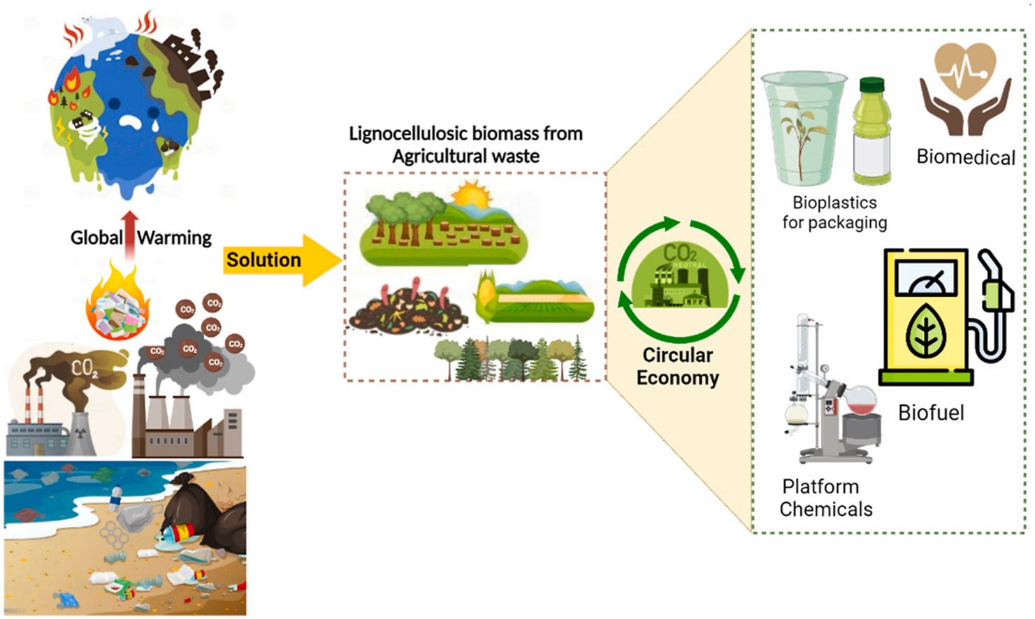 circular economy