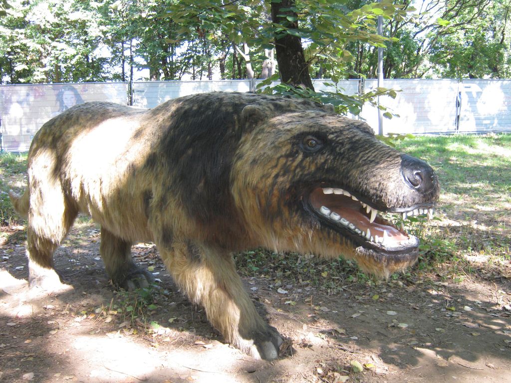 Andrewsarchus: The Largest Land Carnivorous Mammal