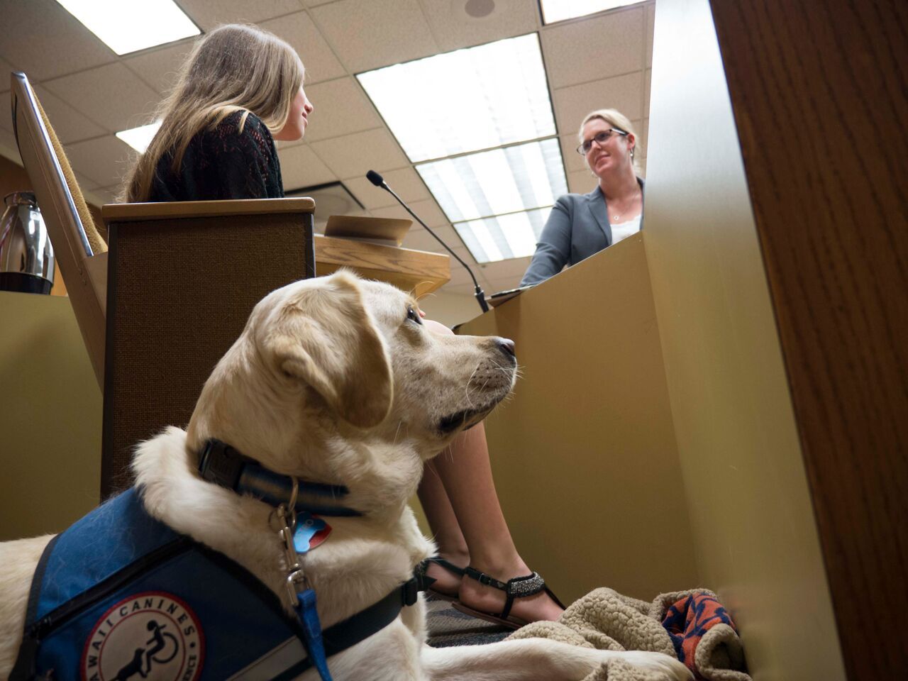 facility dogs