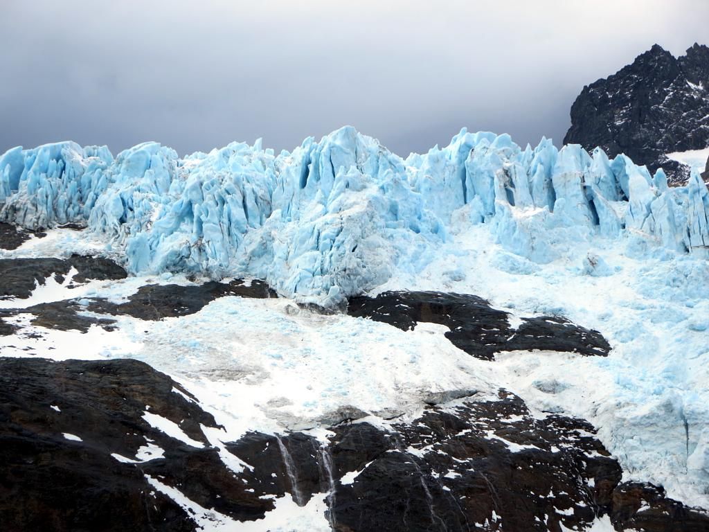 Neumayer Glacier South Georgia