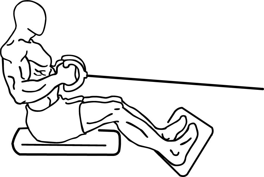 Seated Cable Rows