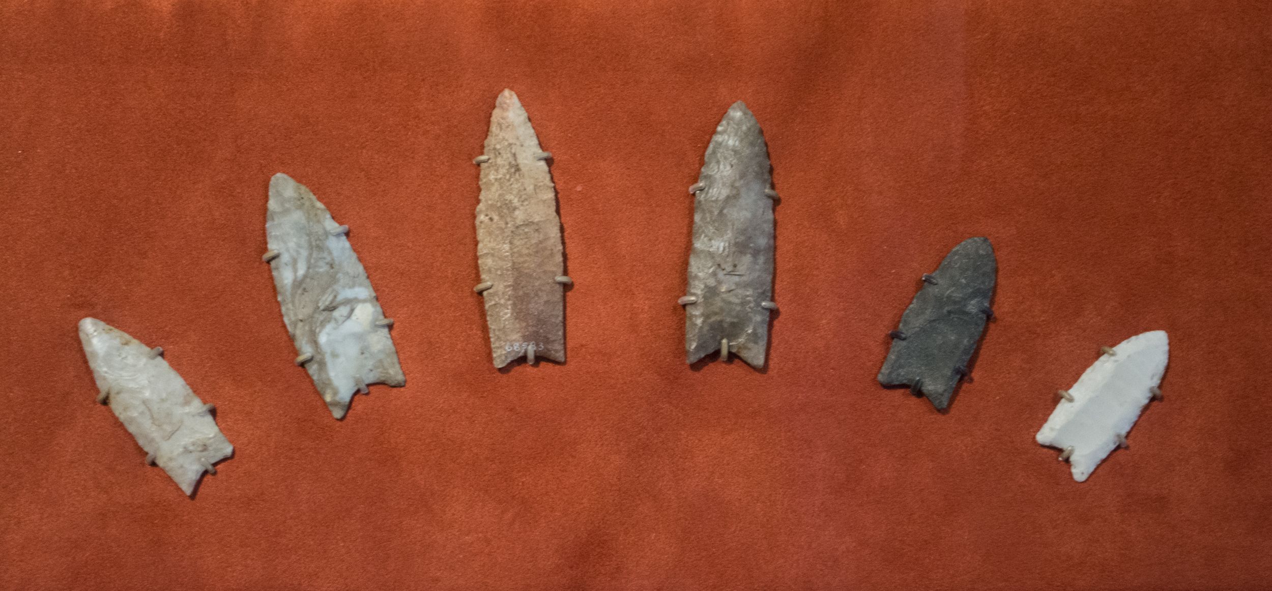 Clovis culture
