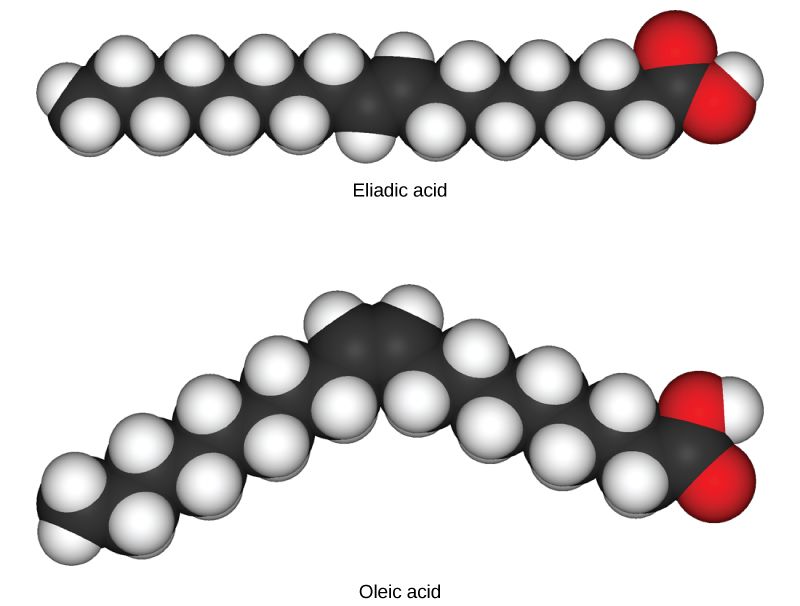 carbon-carbon double bond