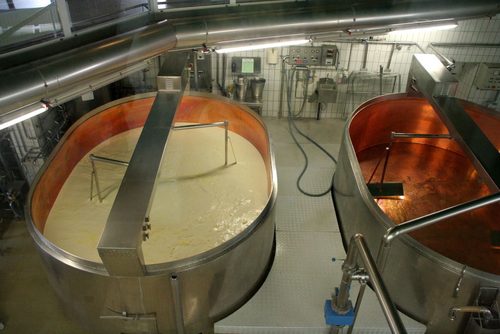 Cheese making process