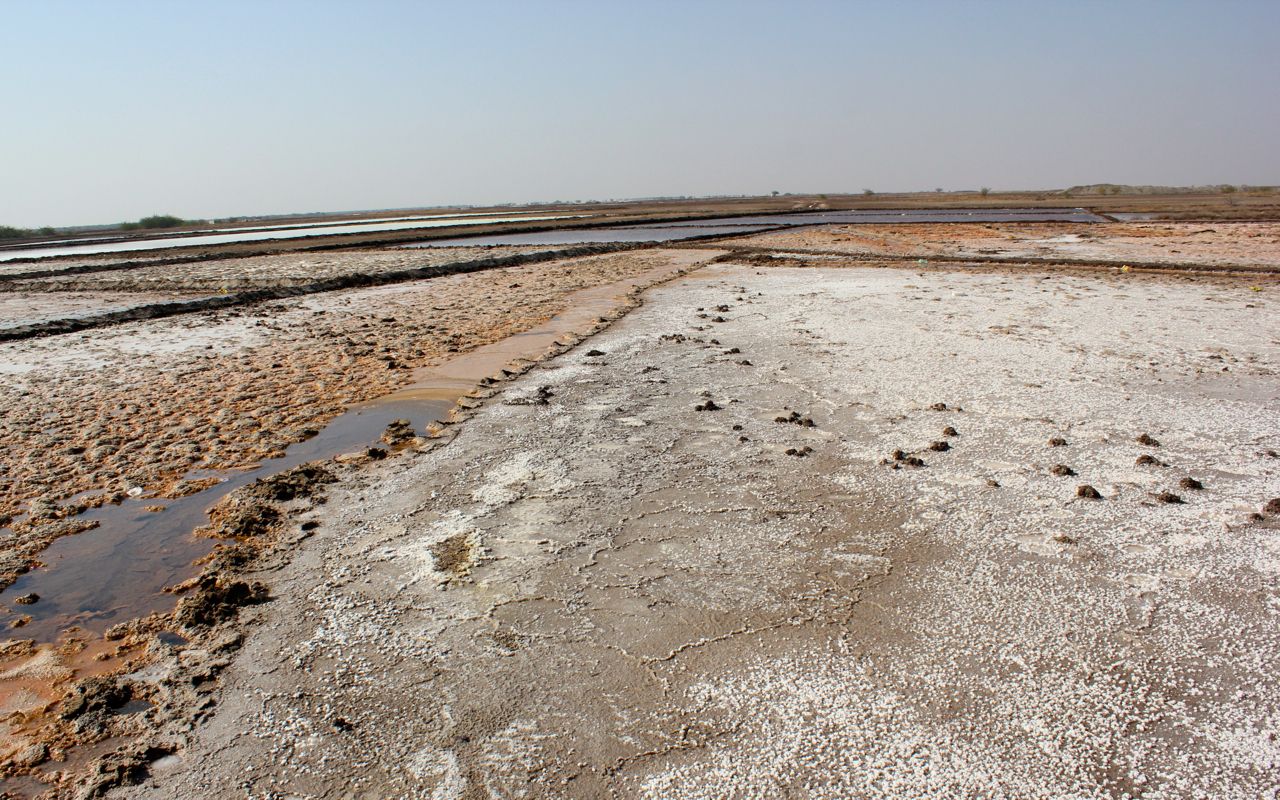 marshy Rann of Kutch