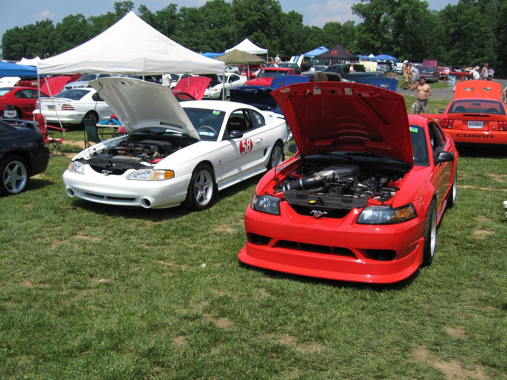1995 Ford Mustang SVT Cobra R
