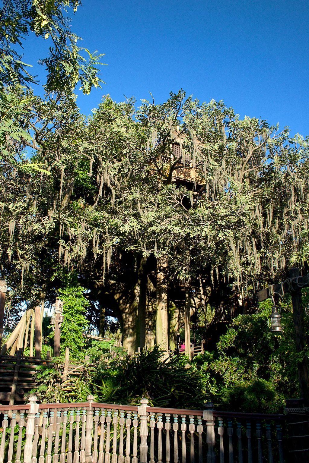 Swiss Family Robinson