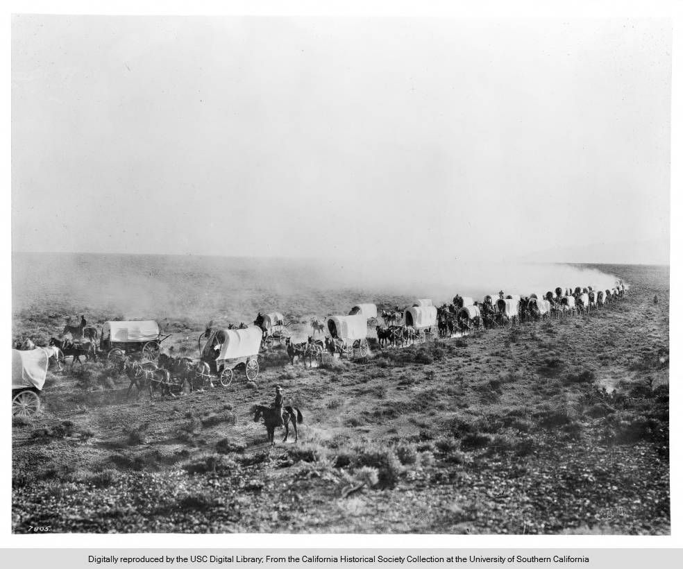 Wagon trains heading to California