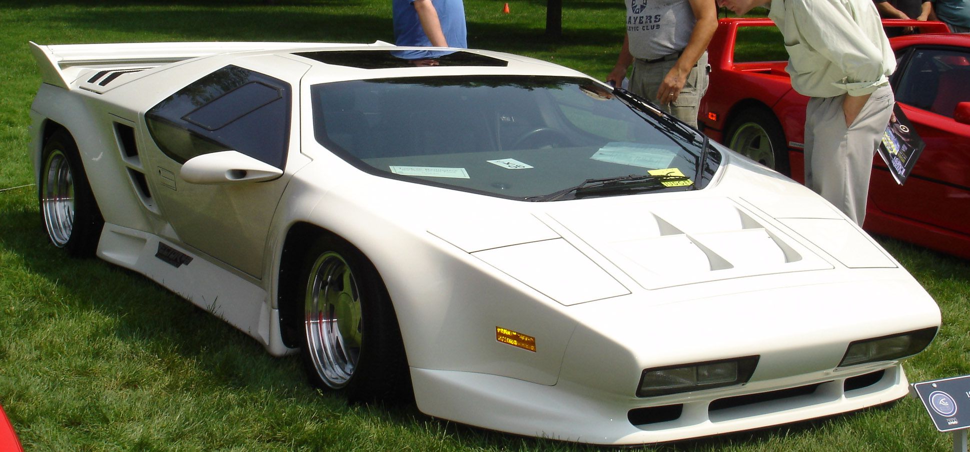 Vector W8
