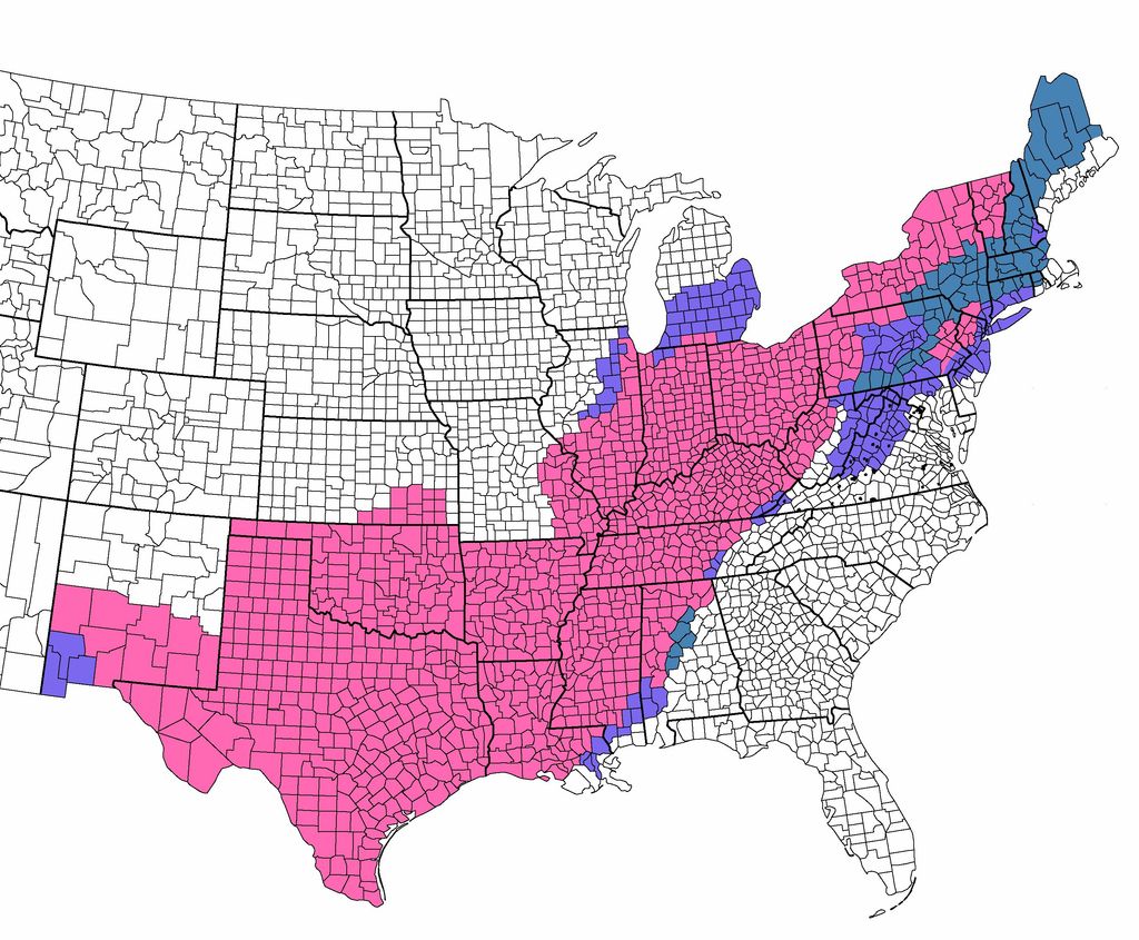 Winter Storm Uri