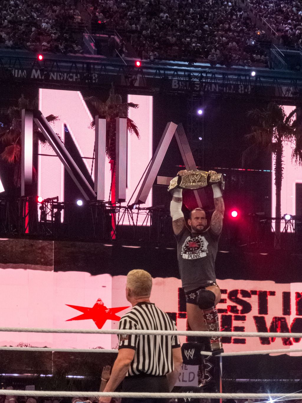CM Punk challenging World Heavyweight Champion Gunther