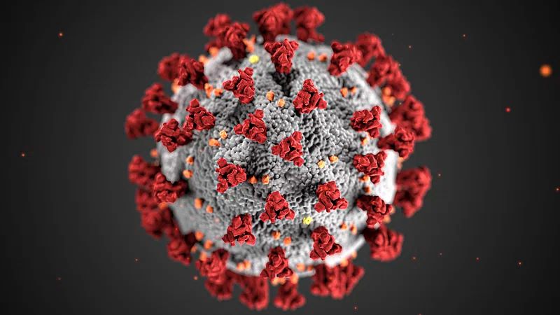 respiratory virus activity