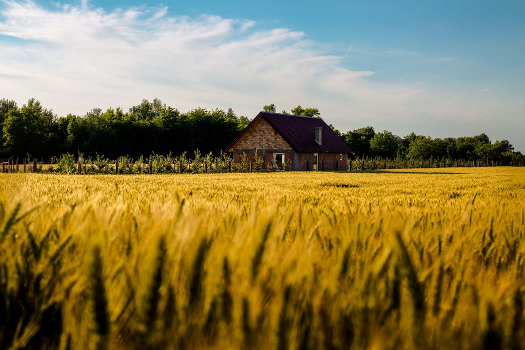 rural agricultural Texas