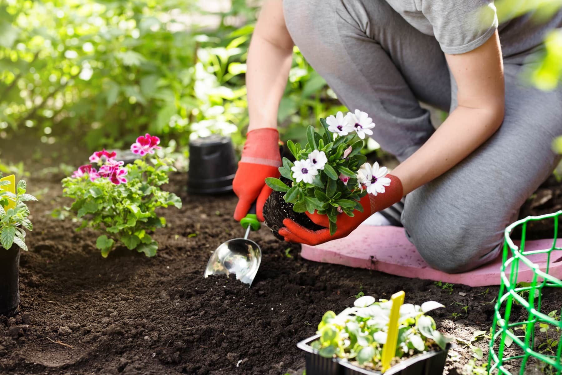 gardening for stress relief