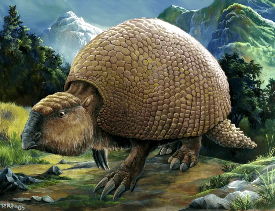 Glyptodon: The Prehistoric Armadillo The Size Of A Car
