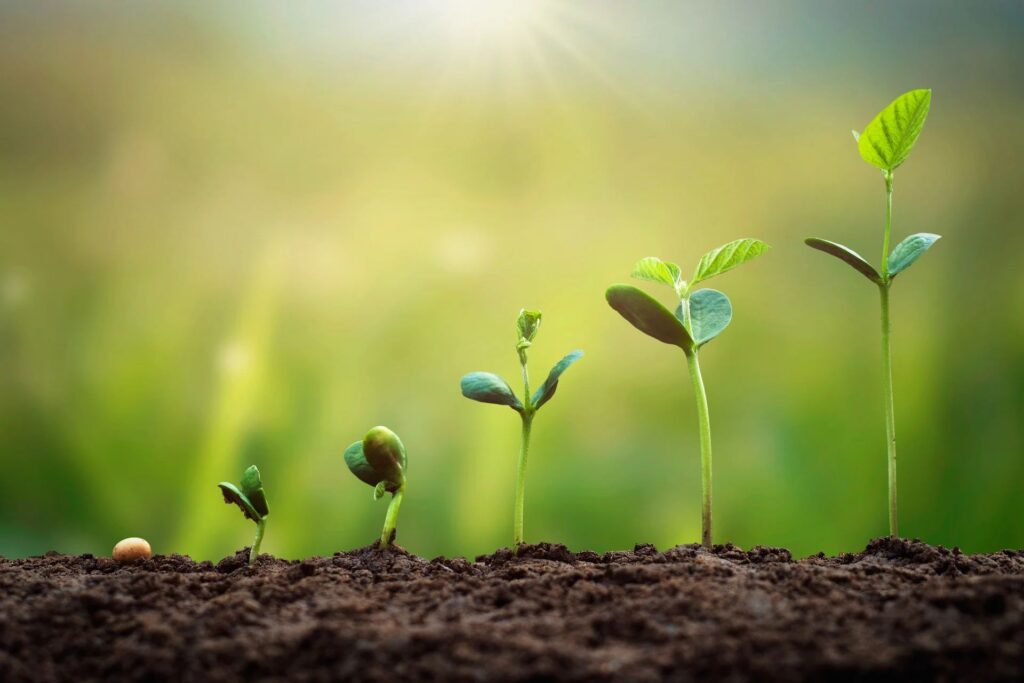 Growth Together Strengthens the Relationship