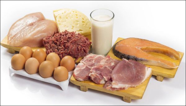 Excessive Protein Intake