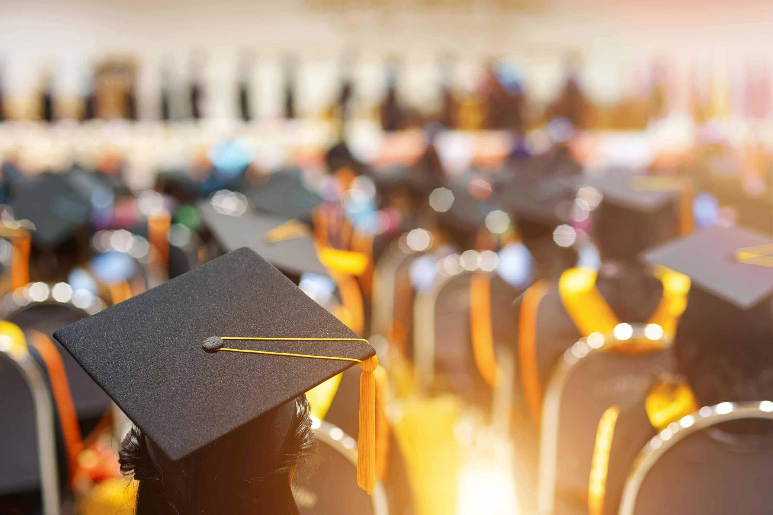Navigating the New Reality: The 15 College Degrees Facing Challenges in 2025 and How to Future-Proof Your Education