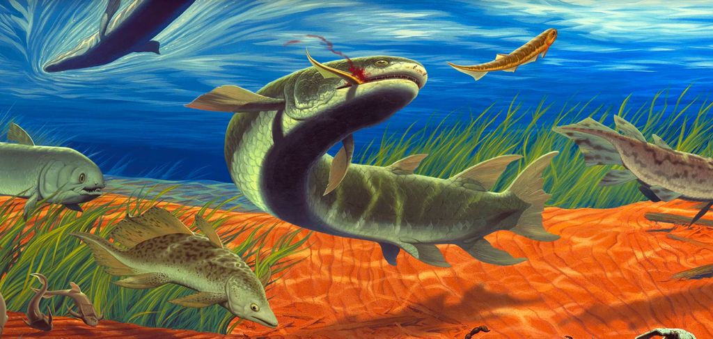 The Devonian Period: A Global Geological Legacy from Local Strata