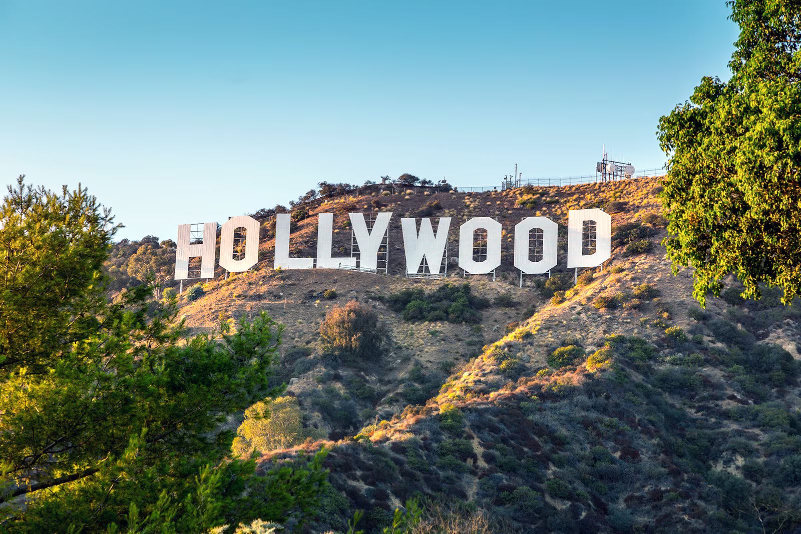 Hollywood Arrival and Early Television Footprint