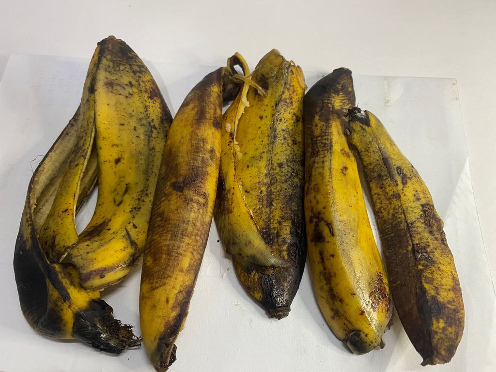 identifying spoilage