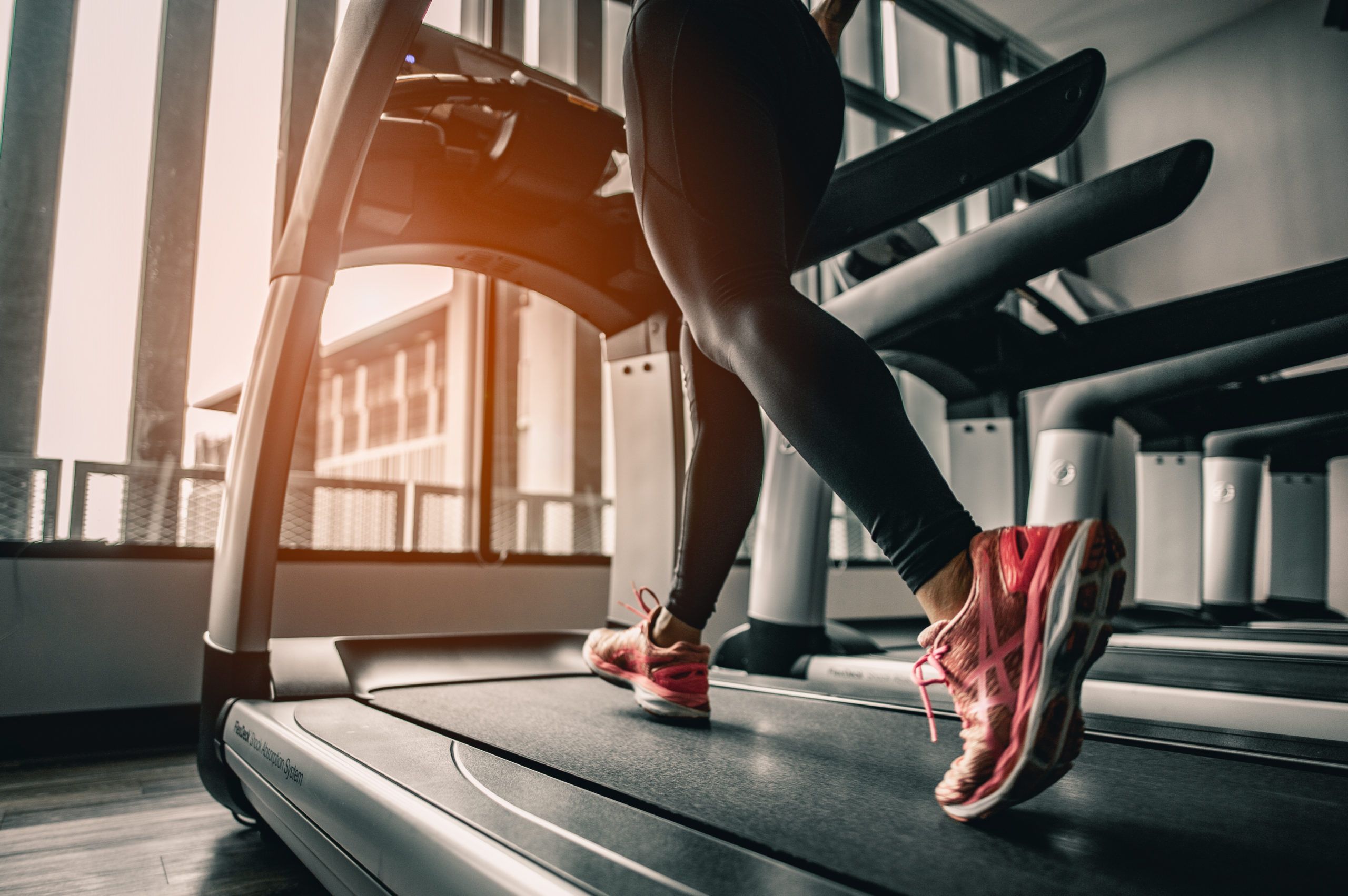 Cardio Workouts (Running, Cycling, Swimming)