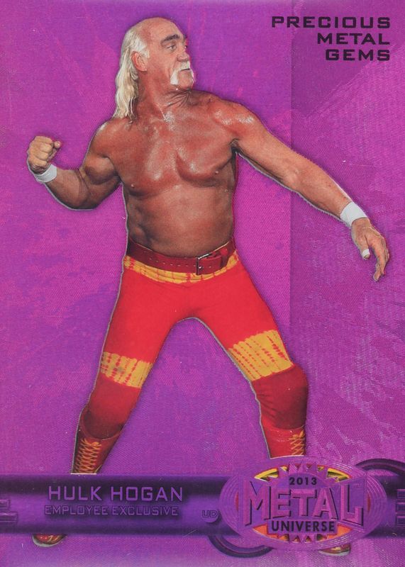 Hogan's Final Ambitious Business Venture