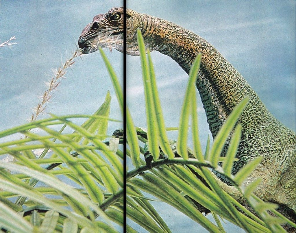 Unearthing Earth’s Ancient Wonders: Prehistoric Animals You Won’t Believe Once Roamed Our Planet