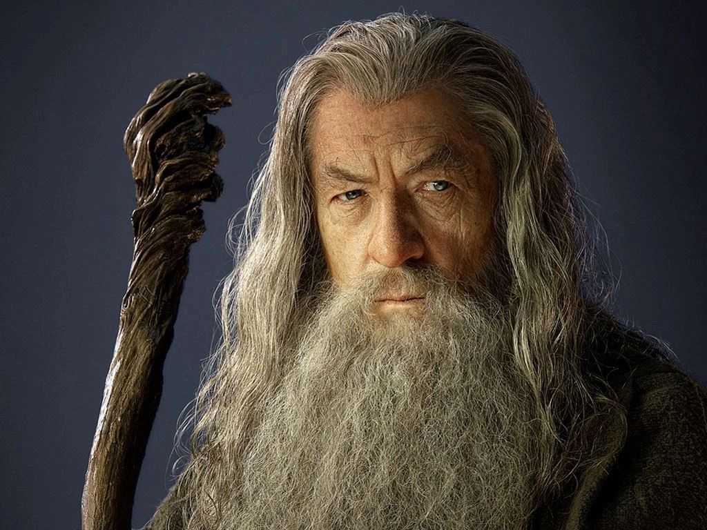 Gandalf’s Accidental Head Bonk in *The Lord of the Rings: The Fellowship of the Ring