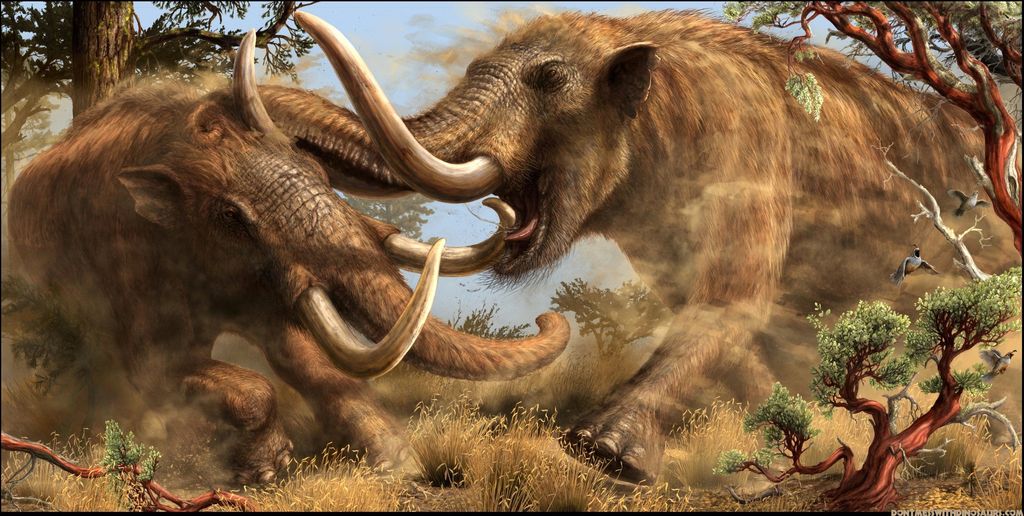 Mastodon: North America’s Majestic Ice Age Giant