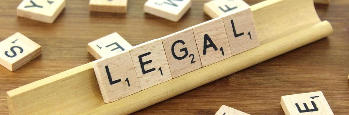 Early Business Ventures & Legal Propensity