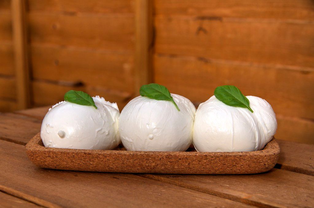 traditional mozzarella