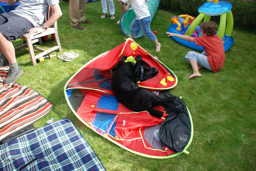 Jack's second birthday party