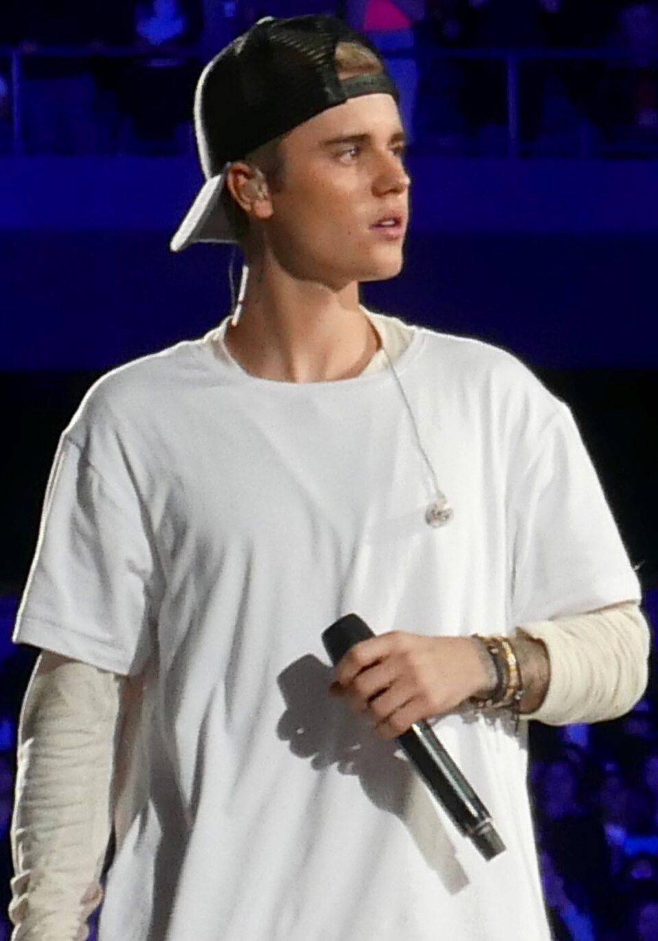 Hailey Bieber stable partner