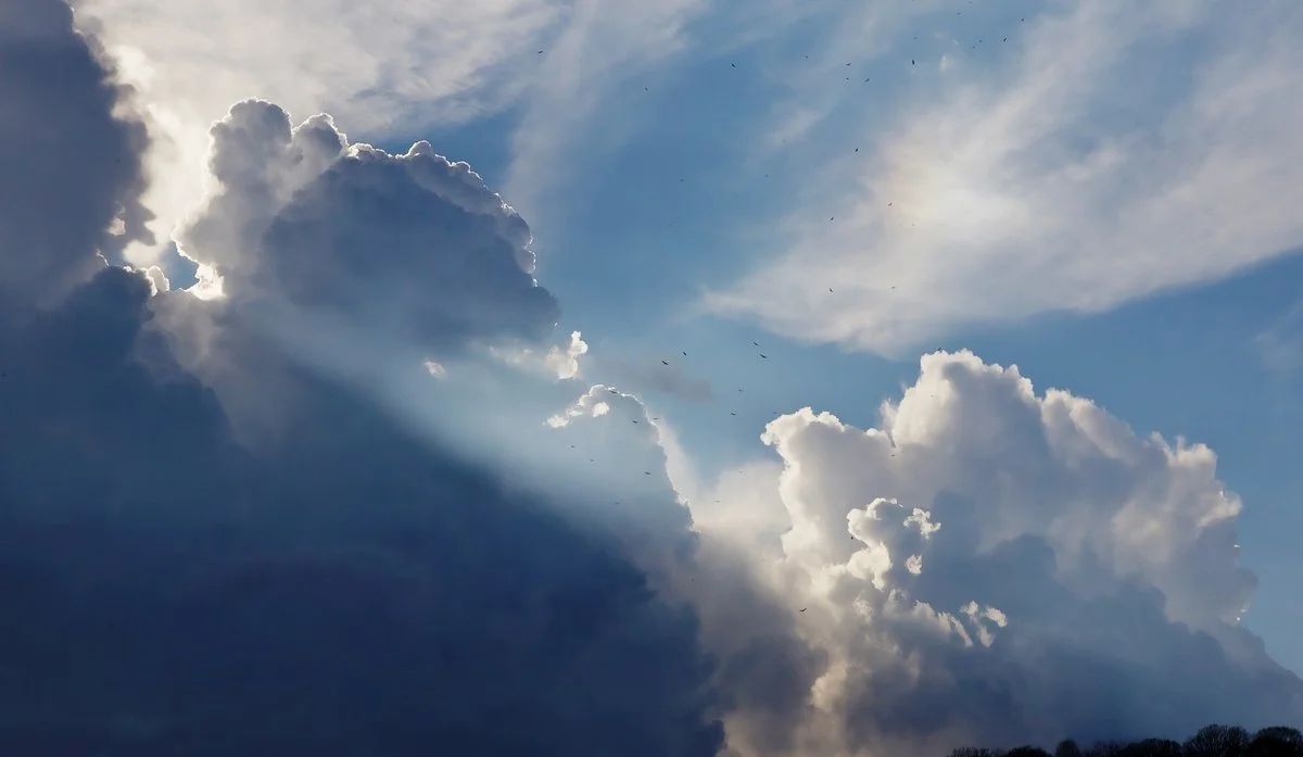 A Silver Lining: Lessons in Resilience
