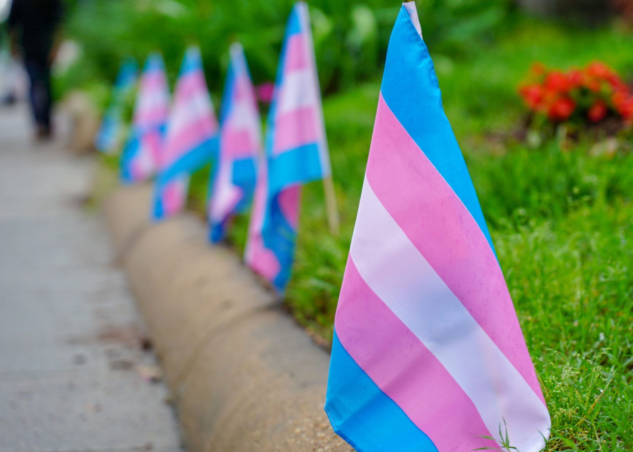Broader Context: Conservative Push on Gender Norms in Sports (Transgender policies)