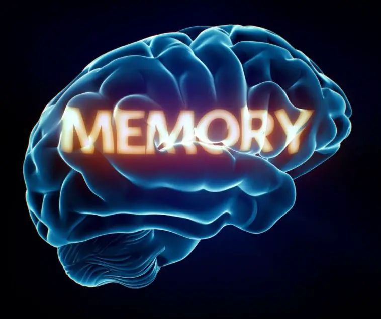 memory of Rebekah