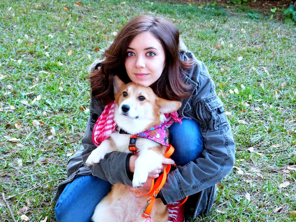 Unleashing the Truth: 7 Surprising Things Humans Do That Drive Our Dogs Absolutely Bonkers