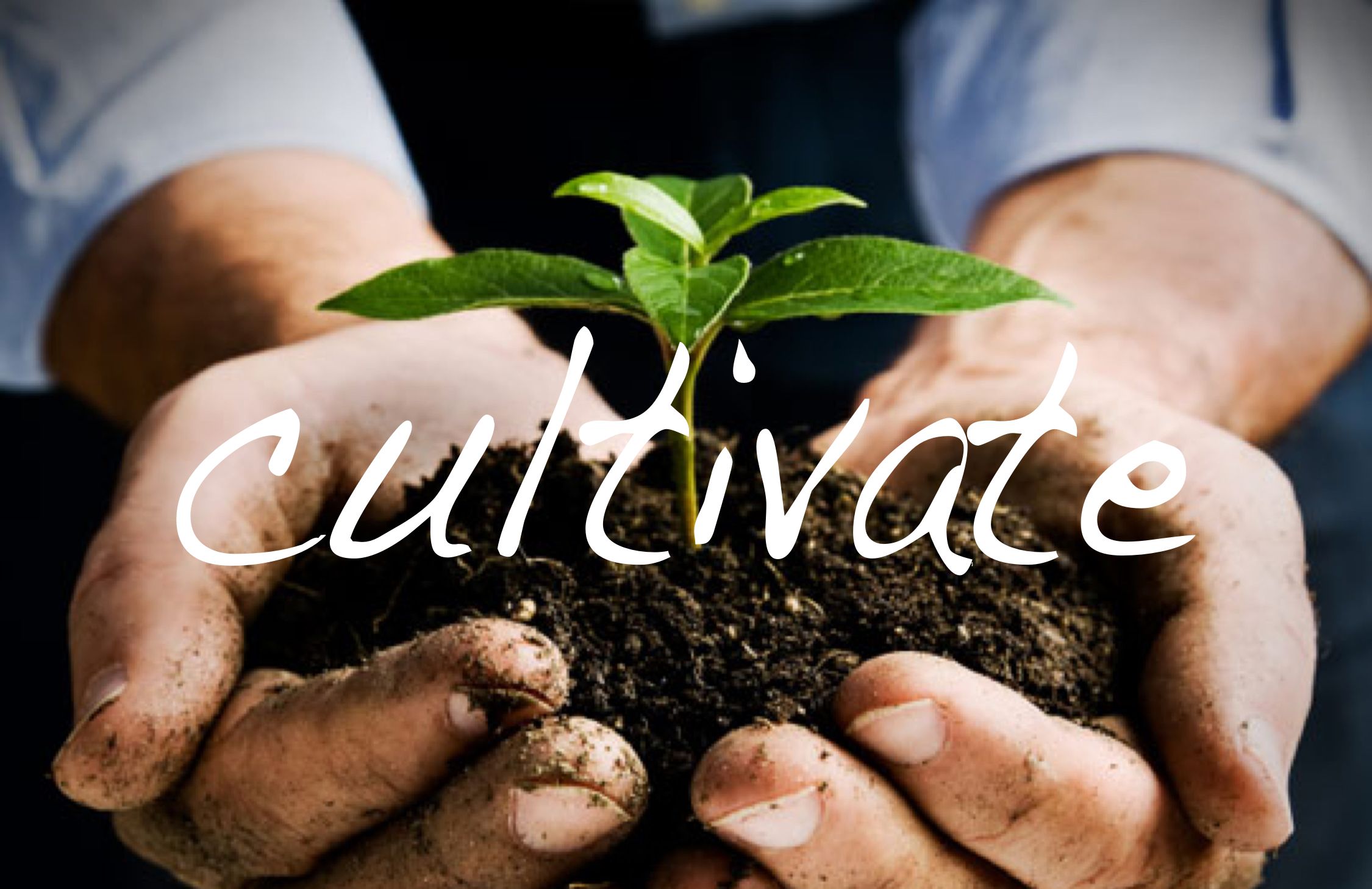 Cultivate Analytical Thinking