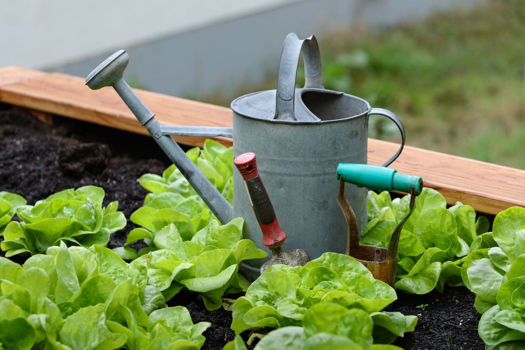 home gardening environmental benefits