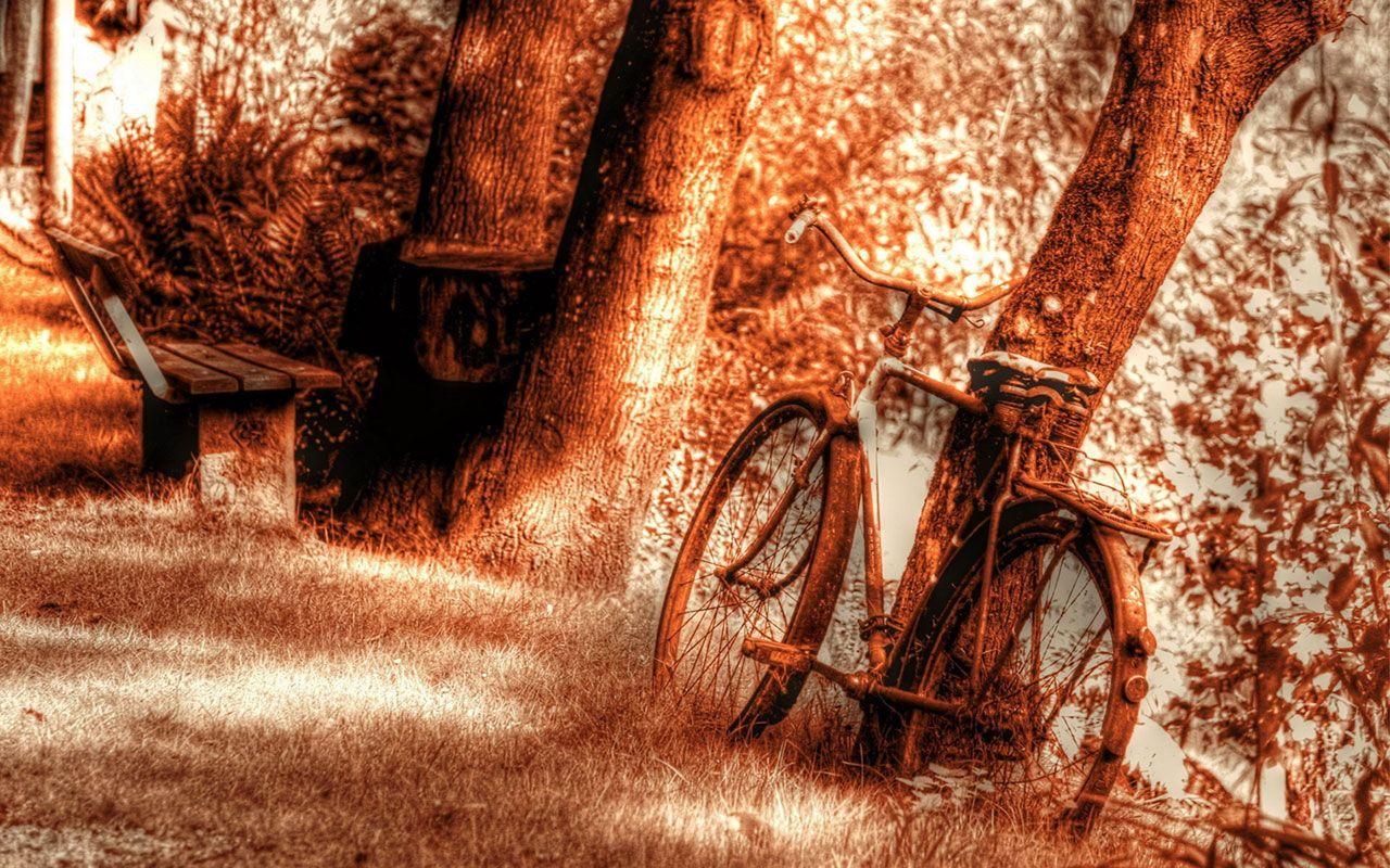 A Nostalgic Encounter: Introduction to YIVO