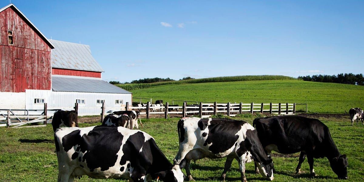 deportation policies American agriculture