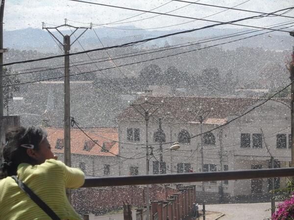 The Aftermath of Fury: Viviane Rakotoarivony’s Ambalakondro, Madagascar, after Cyclone Freddy