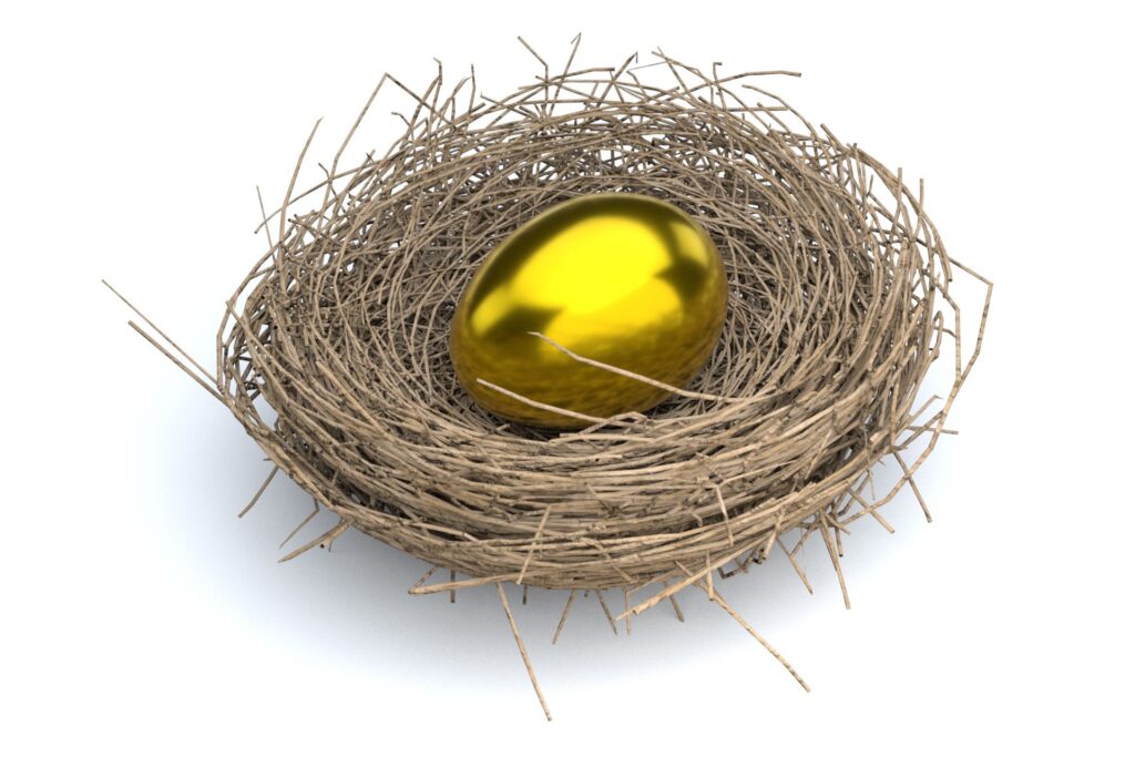 $1 million retirement nest egg