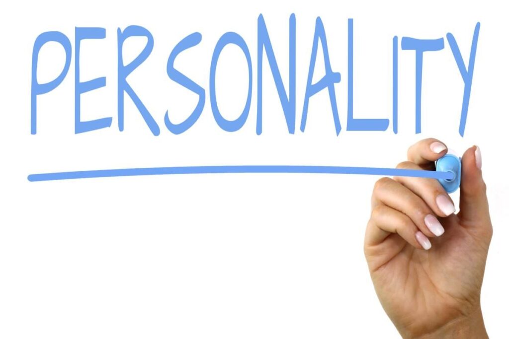 Deconstructing the Elusive "Personality" of an Algorithm