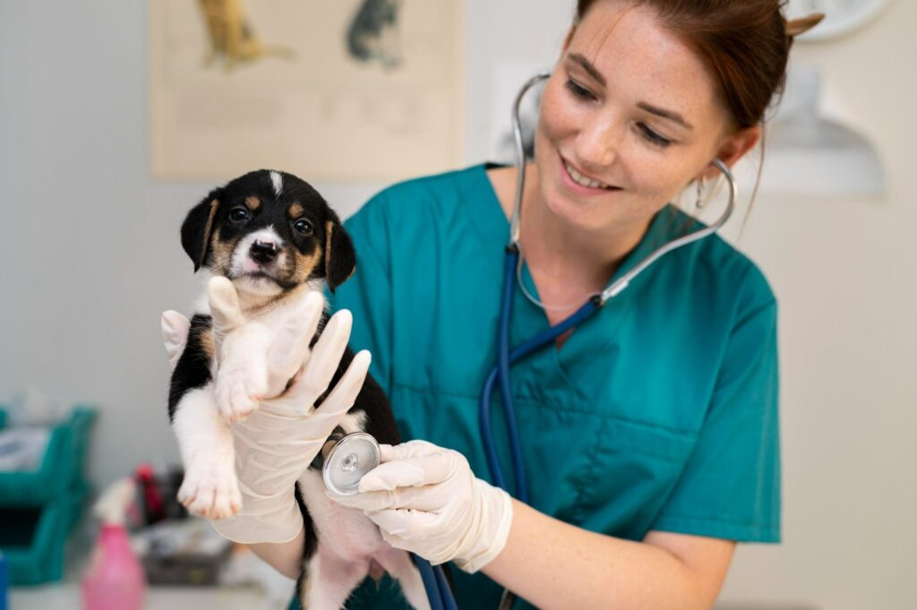 Veterinary Professionals